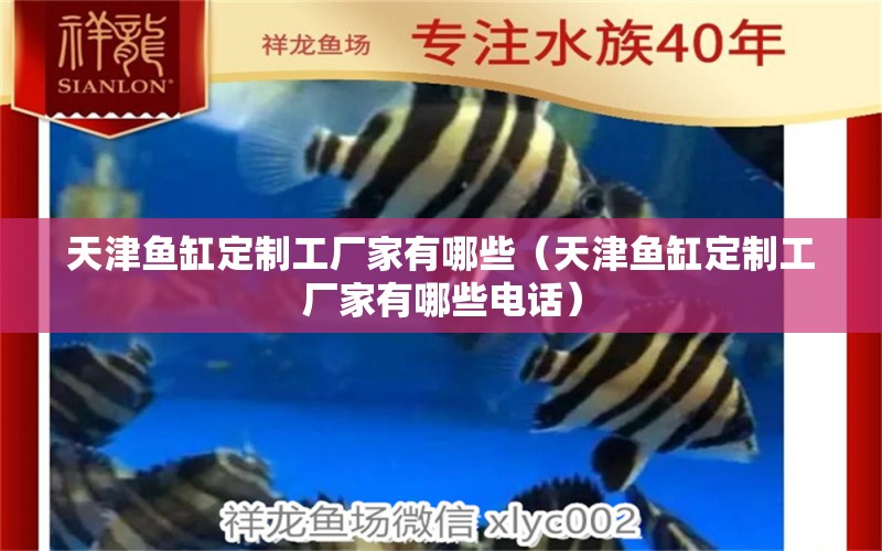 天津魚缸定制工廠家有哪些（天津魚缸定制工廠家有哪些電話）