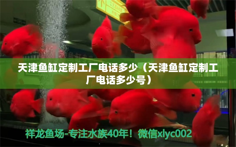 天津魚缸定制工廠電話多少（天津魚缸定制工廠電話多少號） 祥龍魚場