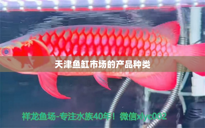 天津魚缸市場的產(chǎn)品種類 魚缸水質(zhì)穩(wěn)定劑