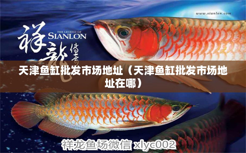 天津魚(yú)缸批發(fā)市場(chǎng)地址（天津魚(yú)缸批發(fā)市場(chǎng)地址在哪） 其他品牌魚(yú)缸