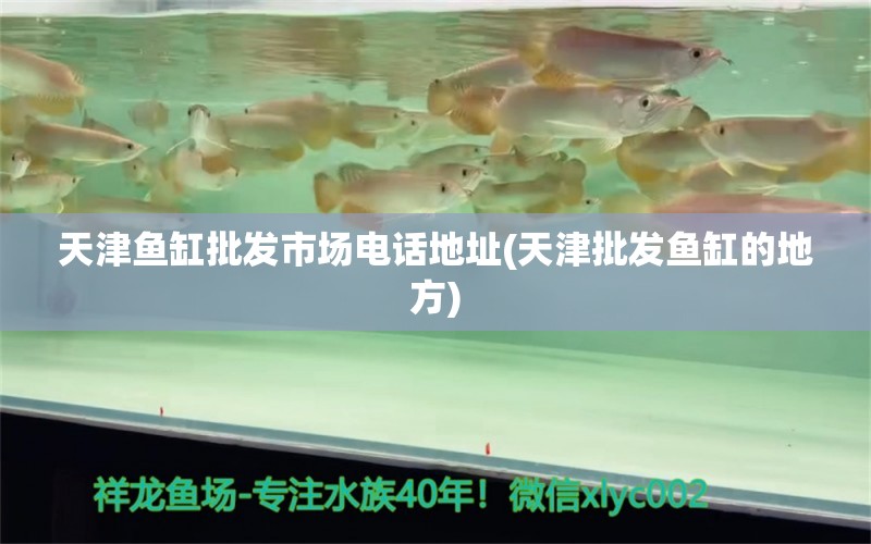 天津魚缸批發(fā)市場電話地址(天津批發(fā)魚缸的地方) 泰龐海蓮魚