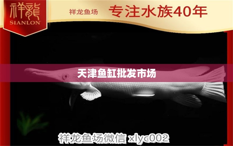 天津魚缸批發(fā)市場 其他品牌魚缸