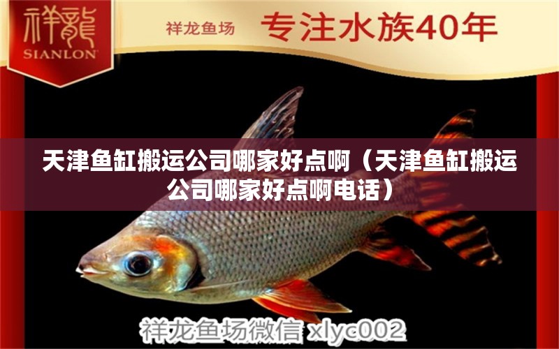 天津魚缸搬運公司哪家好點?。ㄌ旖螋~缸搬運公司哪家好點啊電話）