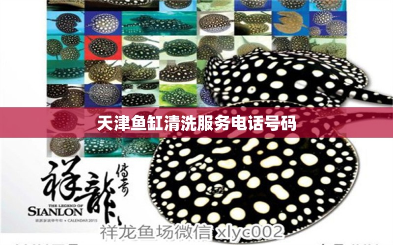 天津魚缸清洗服務電話號碼 其他品牌魚缸