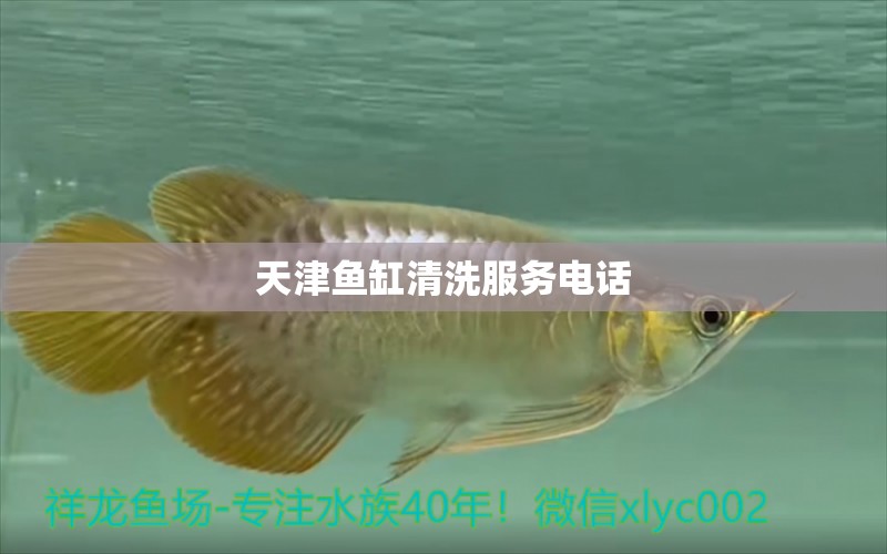 天津魚(yú)缸清洗服務(wù)電話