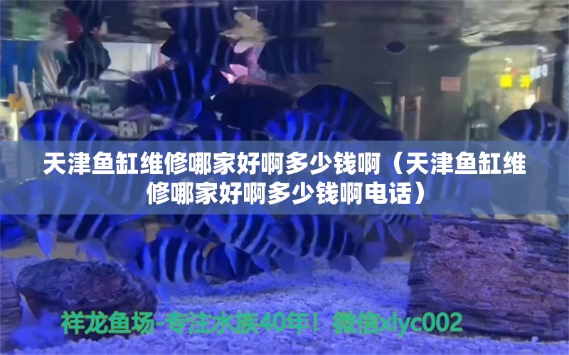 天津魚缸維修哪家好啊多少錢啊（天津魚缸維修哪家好啊多少錢啊電話）