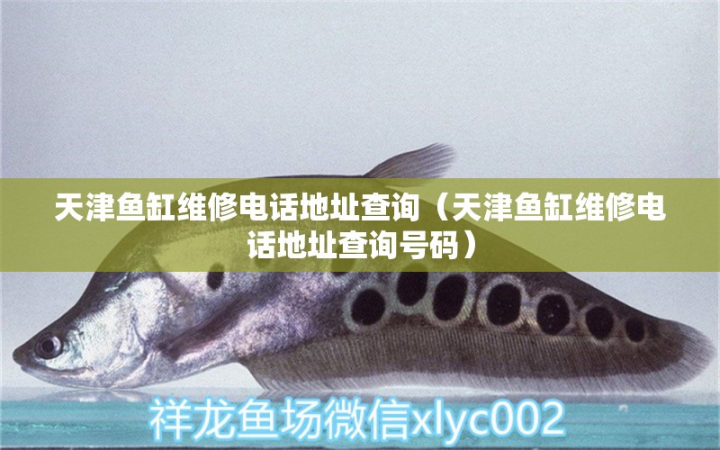 天津魚(yú)缸維修電話(huà)地址查詢(xún)（天津魚(yú)缸維修電話(huà)地址查詢(xún)號(hào)碼） 其他品牌魚(yú)缸