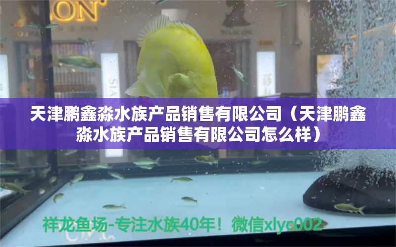 天津鵬鑫淼水族產(chǎn)品銷售有限公司（天津鵬鑫淼水族產(chǎn)品銷售有限公司怎么樣） 全國(guó)水族館企業(yè)名錄