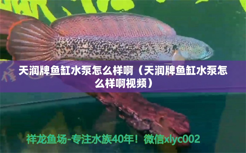 天潤牌魚缸水泵怎么樣?。ㄌ鞚櫯启~缸水泵怎么樣啊視頻） 魚缸水泵