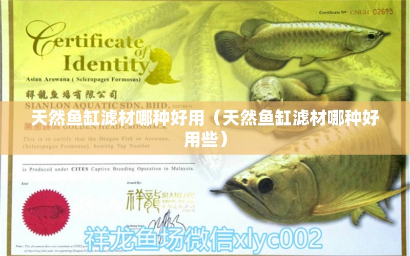 天然魚缸濾材哪種好用（天然魚缸濾材哪種好用些） 祥龍水族醫(yī)院