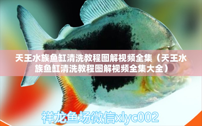 天王水族魚缸清洗教程圖解視頻全集（天王水族魚缸清洗教程圖解視頻全集大全）