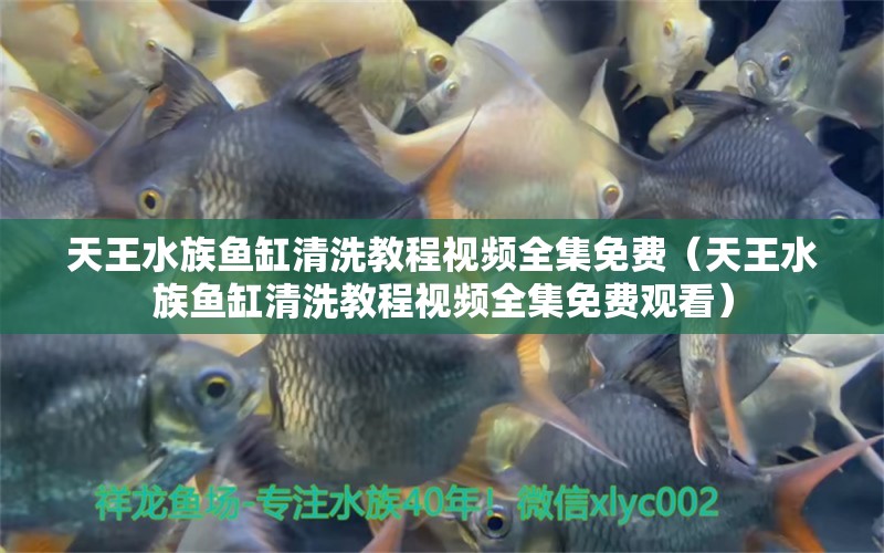 天王水族魚缸清洗教程視頻全集免費（天王水族魚缸清洗教程視頻全集免費觀看）