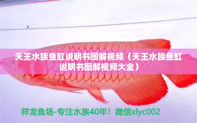 天王水族魚缸說明書圖解視頻（天王水族魚缸說明書圖解視頻大全）