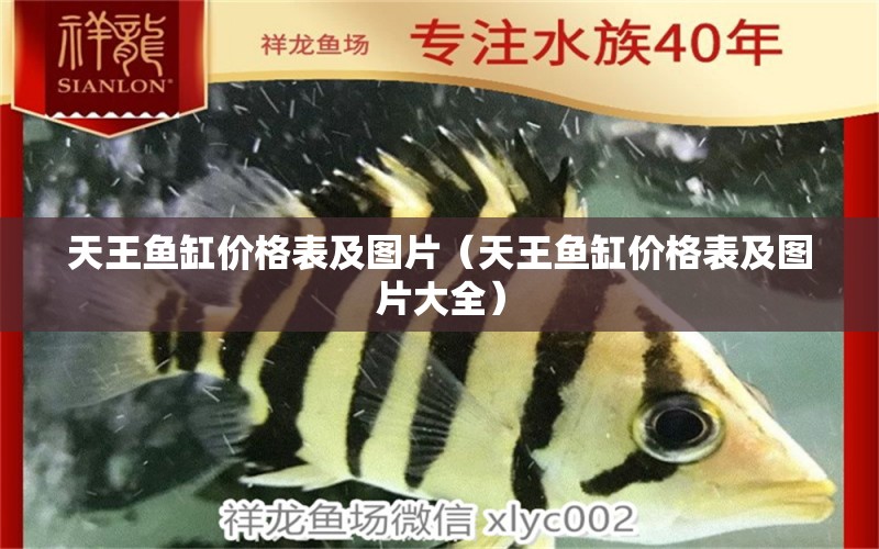 天王魚(yú)缸價(jià)格表及圖片（天王魚(yú)缸價(jià)格表及圖片大全） 觀賞魚(yú)水族批發(fā)市場(chǎng)