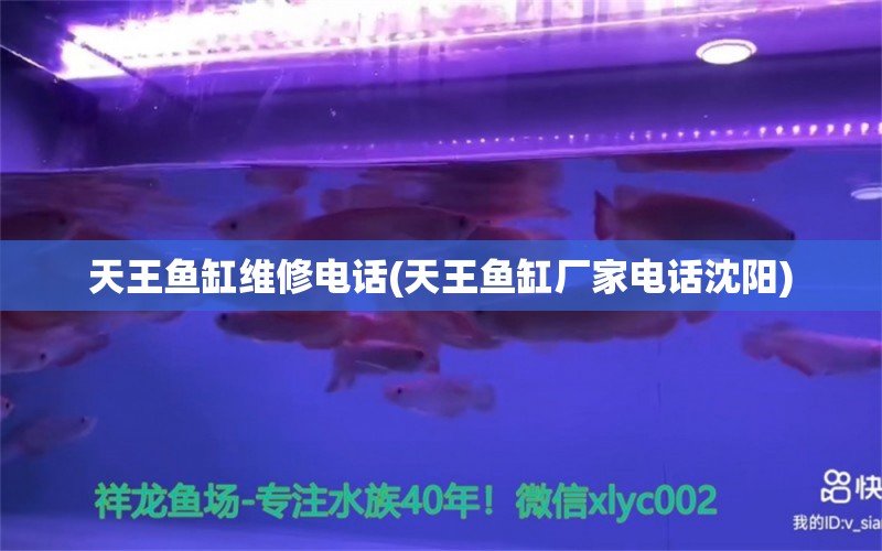 天王魚缸維修電話(天王魚缸廠家電話沈陽)