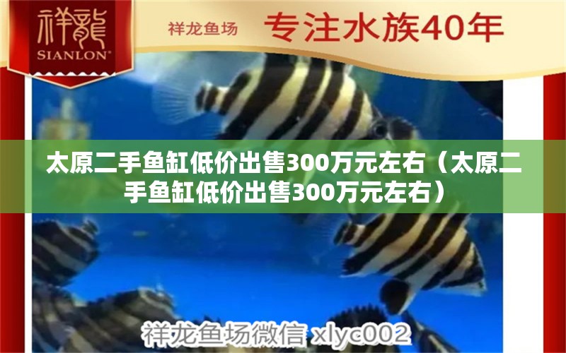 太原二手魚缸低價出售300萬元左右（太原二手魚缸低價出售300萬元左右） 祥龍水族醫(yī)院