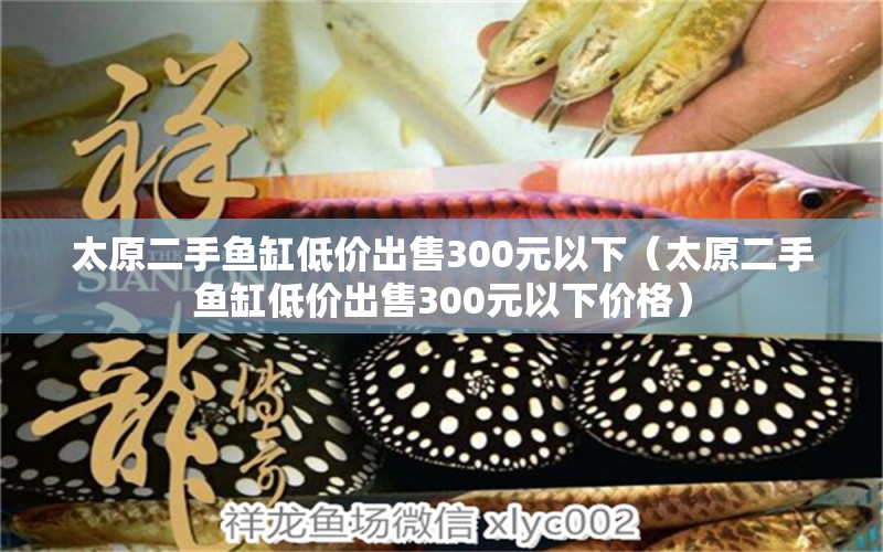 太原二手魚缸低價(jià)出售300元以下（太原二手魚缸低價(jià)出售300元以下價(jià)格）