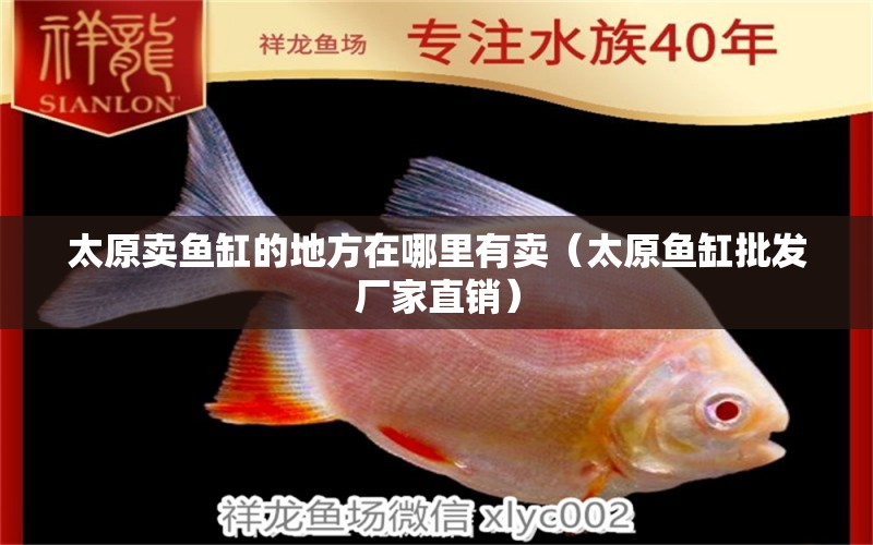 太原賣魚缸的地方在哪里有賣（太原魚缸批發(fā)廠家直銷）