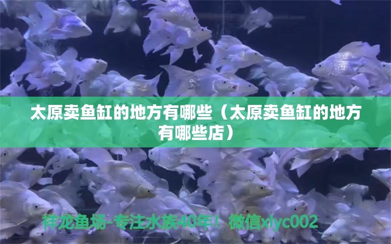 太原賣魚缸的地方有哪些（太原賣魚缸的地方有哪些店）