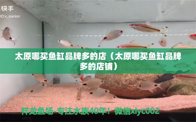 太原哪買(mǎi)魚(yú)缸品牌多的店（太原哪買(mǎi)魚(yú)缸品牌多的店鋪） 祥龍魚(yú)場(chǎng)