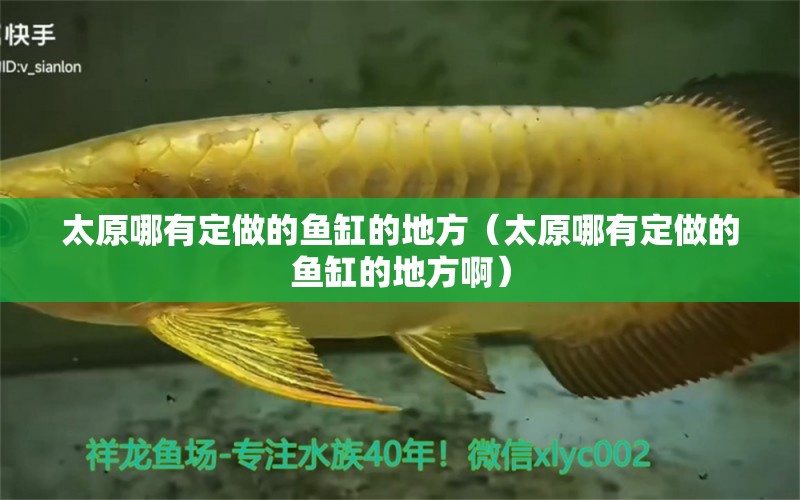 太原哪有定做的魚缸的地方（太原哪有定做的魚缸的地方?。? title=