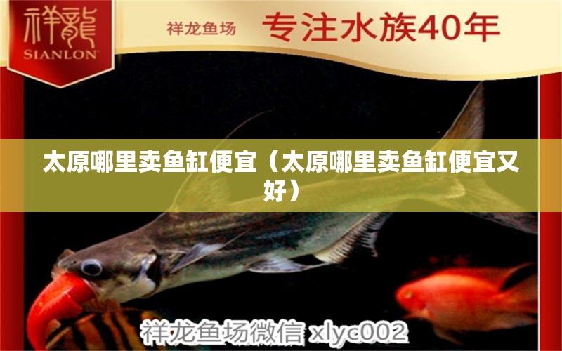 太原哪里賣魚(yú)缸便宜（太原哪里賣魚(yú)缸便宜又好）