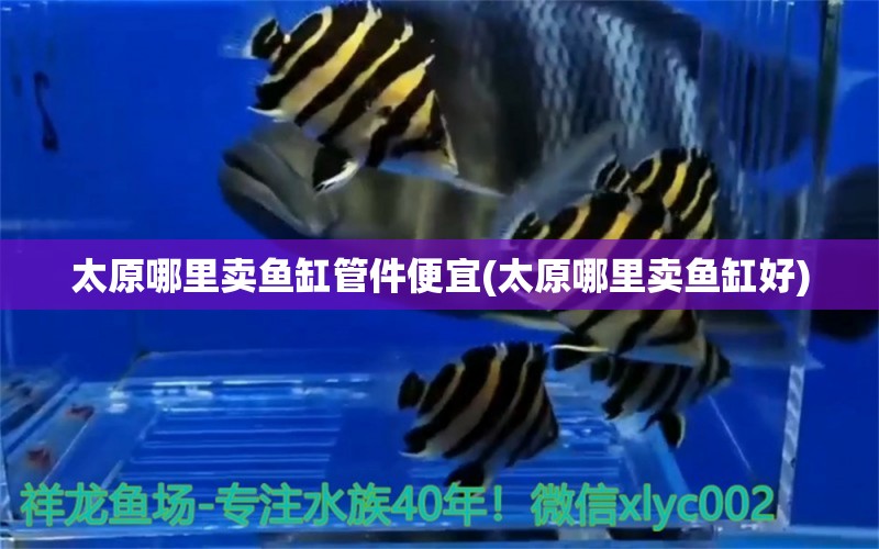 太原哪里賣魚缸管件便宜(太原哪里賣魚缸好) 魚缸水泵