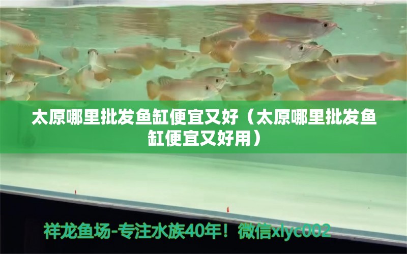 太原哪里批發(fā)魚缸便宜又好（太原哪里批發(fā)魚缸便宜又好用）