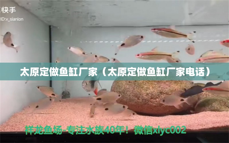 太原定做魚缸廠家（太原定做魚缸廠家電話）