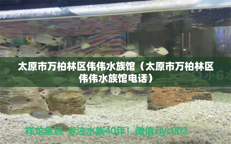 太原市萬柏林區(qū)偉偉水族館（太原市萬柏林區(qū)偉偉水族館電話） 全國水族館企業(yè)名錄