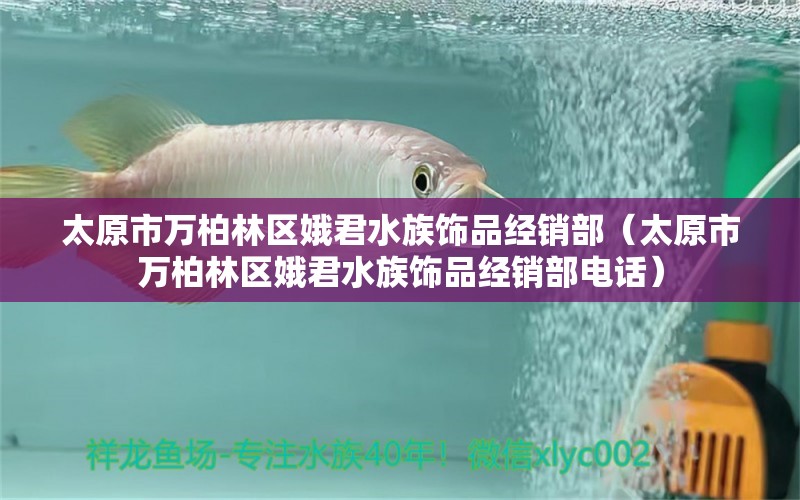 太原市萬(wàn)柏林區(qū)娥君水族飾品經(jīng)銷部（太原市萬(wàn)柏林區(qū)娥君水族飾品經(jīng)銷部電話）