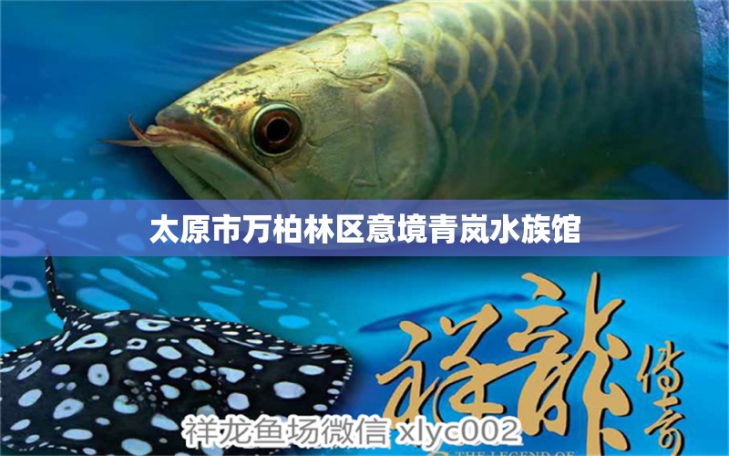 太原市萬柏林區(qū)意境青嵐水族館 全國水族館企業(yè)名錄