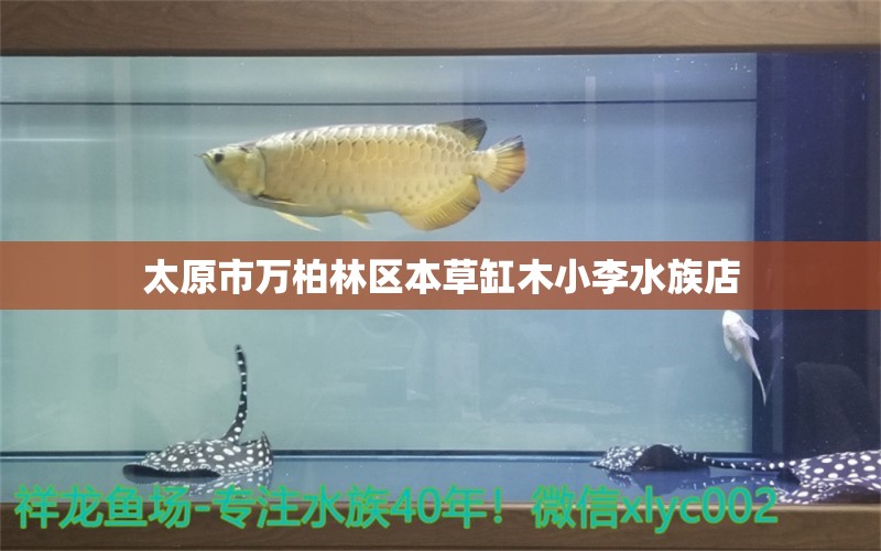 太原市萬(wàn)柏林區(qū)本草缸木小李水族店 全國(guó)水族館企業(yè)名錄