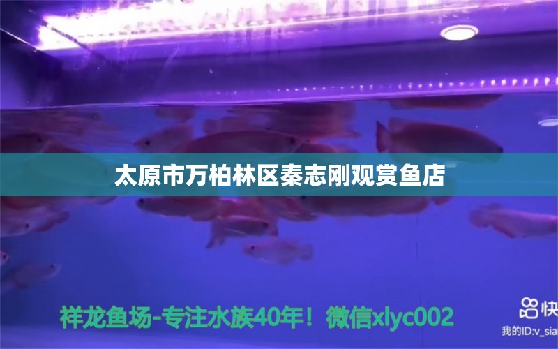 太原市萬(wàn)柏林區(qū)秦志剛觀賞魚店 全國(guó)水族館企業(yè)名錄