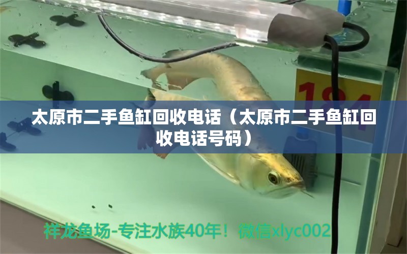 太原市二手魚缸回收電話（太原市二手魚缸回收電話號(hào)碼）