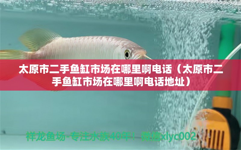 太原市二手魚缸市場在哪里啊電話（太原市二手魚缸市場在哪里啊電話地址）