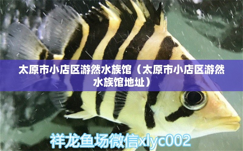 太原市小店區(qū)游然水族館（太原市小店區(qū)游然水族館地址）