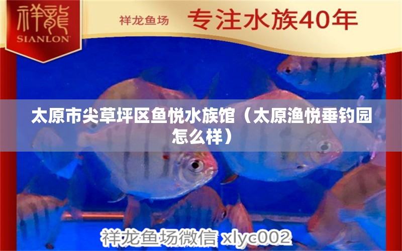 太原市尖草坪區(qū)魚悅水族館（太原漁悅垂釣園怎么樣）