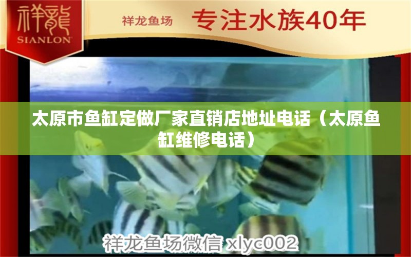 太原市魚缸定做廠家直銷店地址電話（太原魚缸維修電話） 溫控設(shè)備