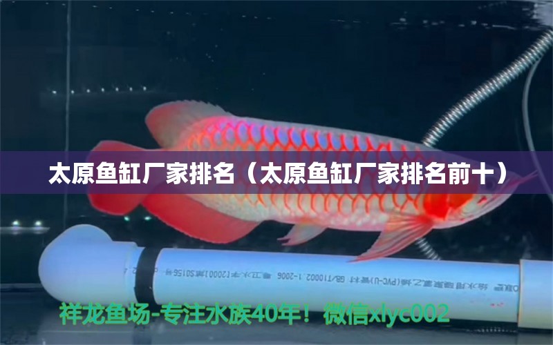 太原魚缸廠家排名（太原魚缸廠家排名前十） 其他品牌魚缸