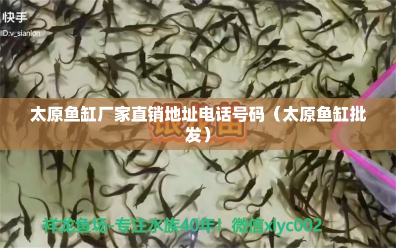 太原魚缸廠家直銷地址電話號碼（太原魚缸批發(fā)）