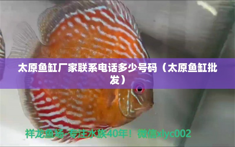 太原魚缸廠家聯(lián)系電話多少號碼（太原魚缸批發(fā)） 其他益生菌