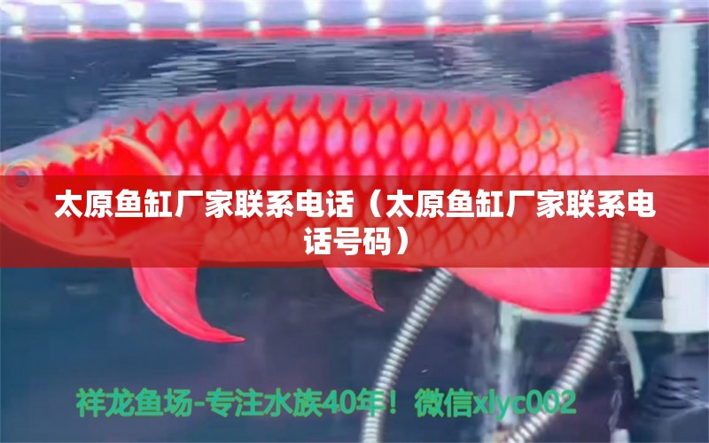 太原魚(yú)缸廠家聯(lián)系電話(huà)（太原魚(yú)缸廠家聯(lián)系電話(huà)號(hào)碼）