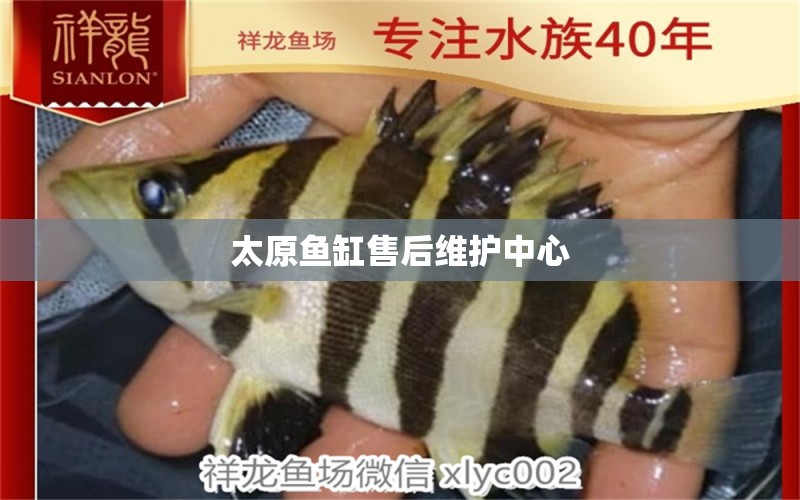 太原魚(yú)缸售后維護(hù)中心 其他品牌魚(yú)缸