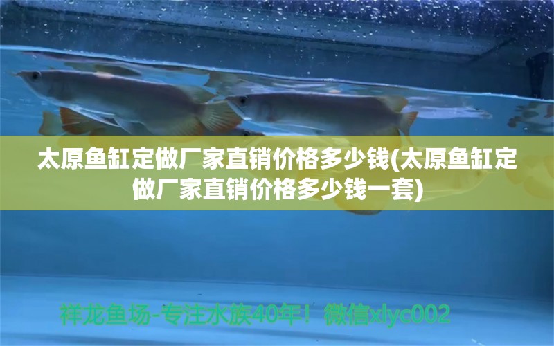 太原魚缸定做廠家直銷價(jià)格多少錢(太原魚缸定做廠家直銷價(jià)格多少錢一套) 斑馬鴨嘴魚苗