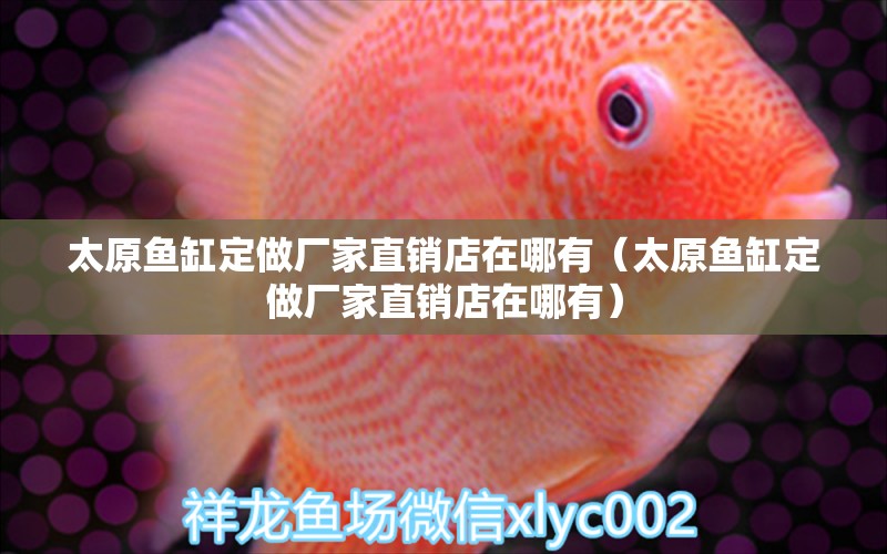 太原魚(yú)缸定做廠家直銷店在哪有（太原魚(yú)缸定做廠家直銷店在哪有） 觀賞魚(yú)市場(chǎng)（混養(yǎng)魚(yú)）