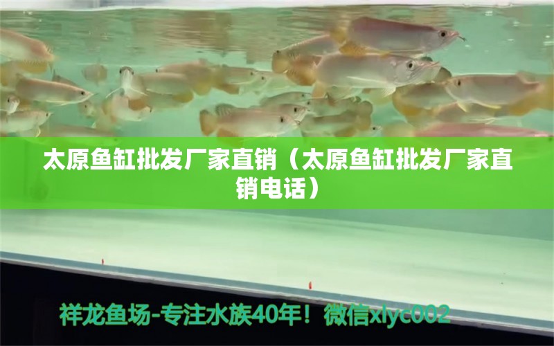 太原魚缸批發(fā)廠家直銷（太原魚缸批發(fā)廠家直銷電話）