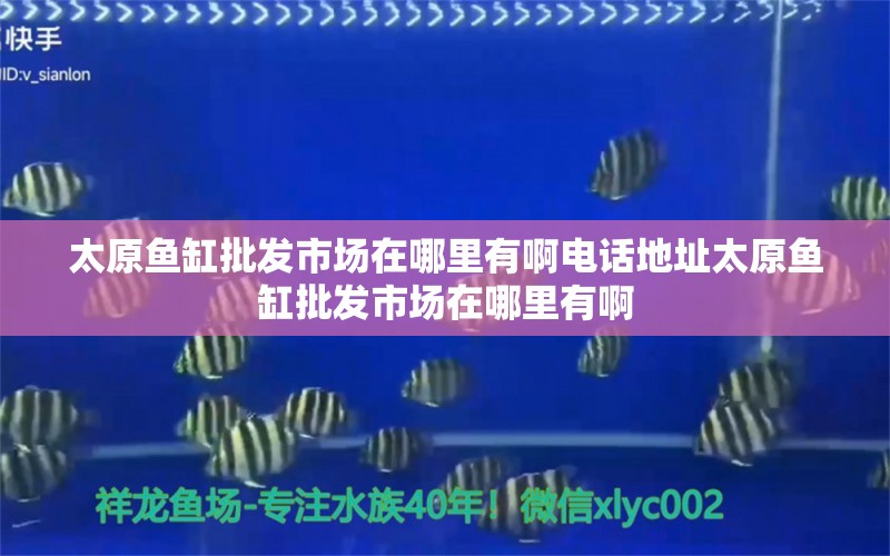 太原魚缸批發(fā)市場(chǎng)在哪里有啊電話地址太原魚缸批發(fā)市場(chǎng)在哪里有啊 魚缸水質(zhì)穩(wěn)定劑