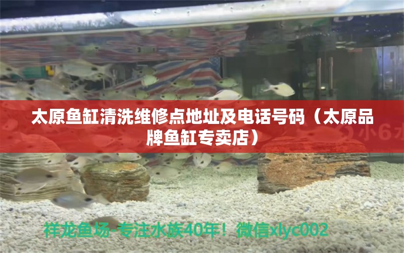 太原魚缸清洗維修點地址及電話號碼（太原品牌魚缸專賣店）