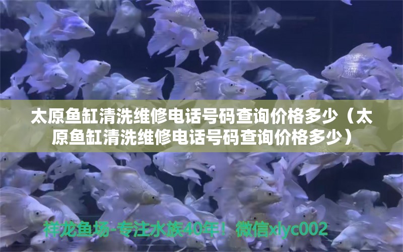 太原魚缸清洗維修電話號碼查詢價格多少（太原魚缸清洗維修電話號碼查詢價格多少） 祥龍水族醫(yī)院